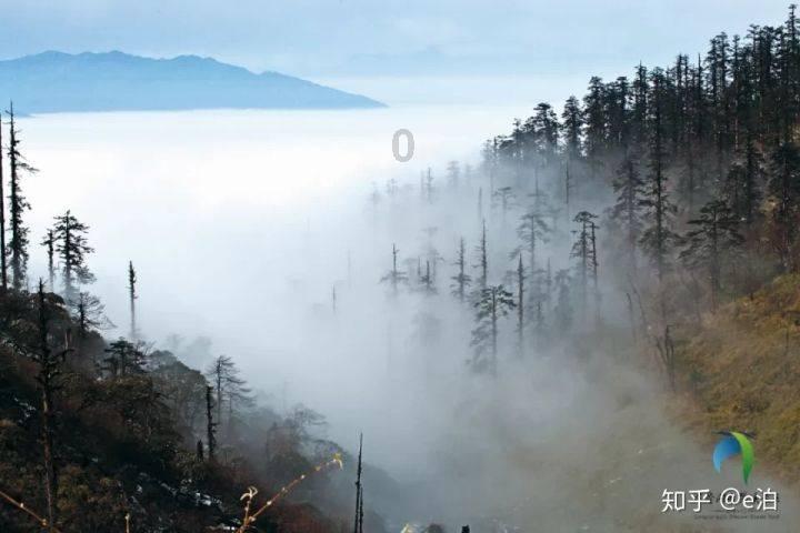 逃离陈旧房4
